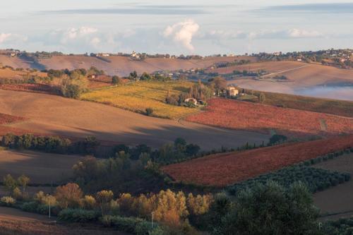 La Vita Nuova Morro dʼAlba Esterno foto