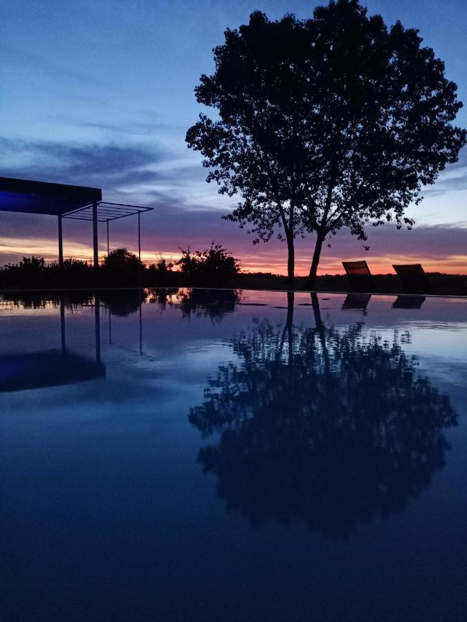 La Vita Nuova Morro dʼAlba Esterno foto